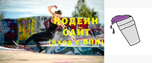 шишки Абаза