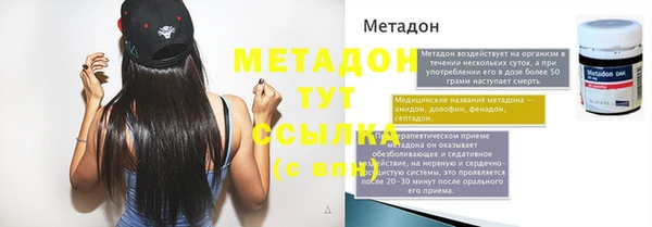 шишки Абаза