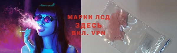 шишки Абаза