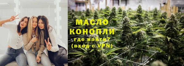 шишки Абаза