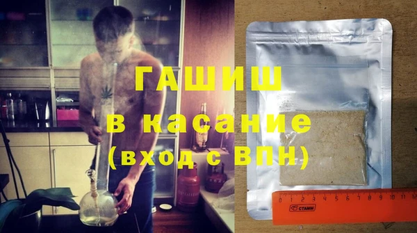 шишки Абаза