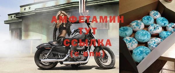 шишки Абаза