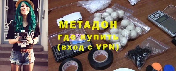 шишки Абаза