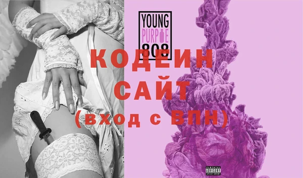 шишки Абаза