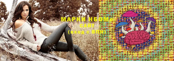 шишки Абаза