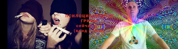 ECSTASY Абинск