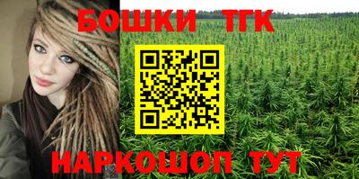 индика Кулебаки