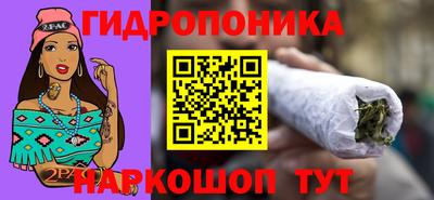 индика Кулебаки
