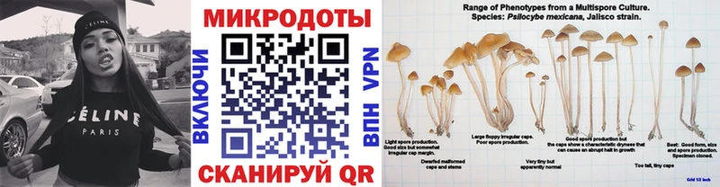 Псилоцибиновые грибы Magic Shrooms  блэк спрут маркетплейс  Серпухов 